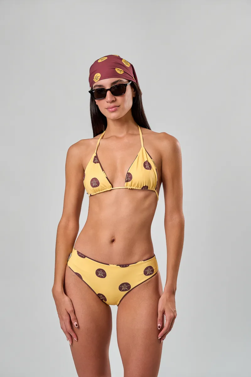 CHOCOLATE DOTS BOTTOM